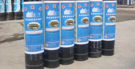 黑豹防水材料 性能评测与选购指南